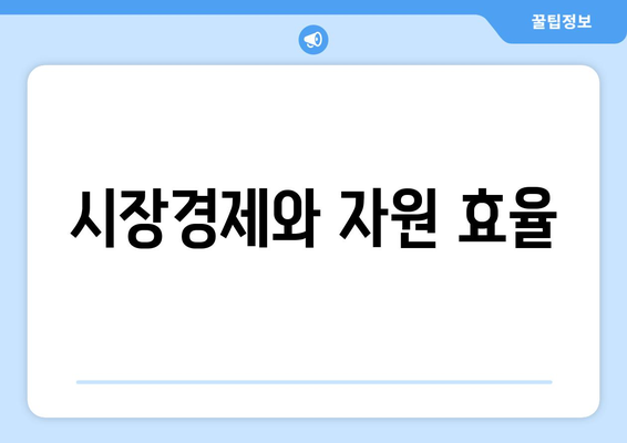 자원의 배분과 경제적 효율성 증대