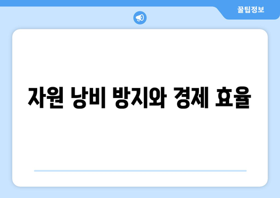 자원의 배분과 경제적 효율성 증대