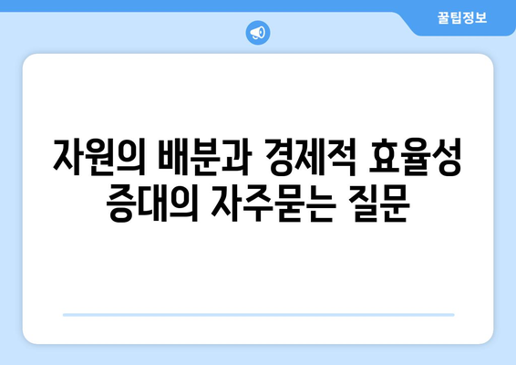 자원의 배분과 경제적 효율성 증대