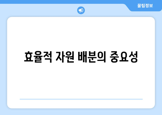 자원의 배분과 경제적 효율성 증대